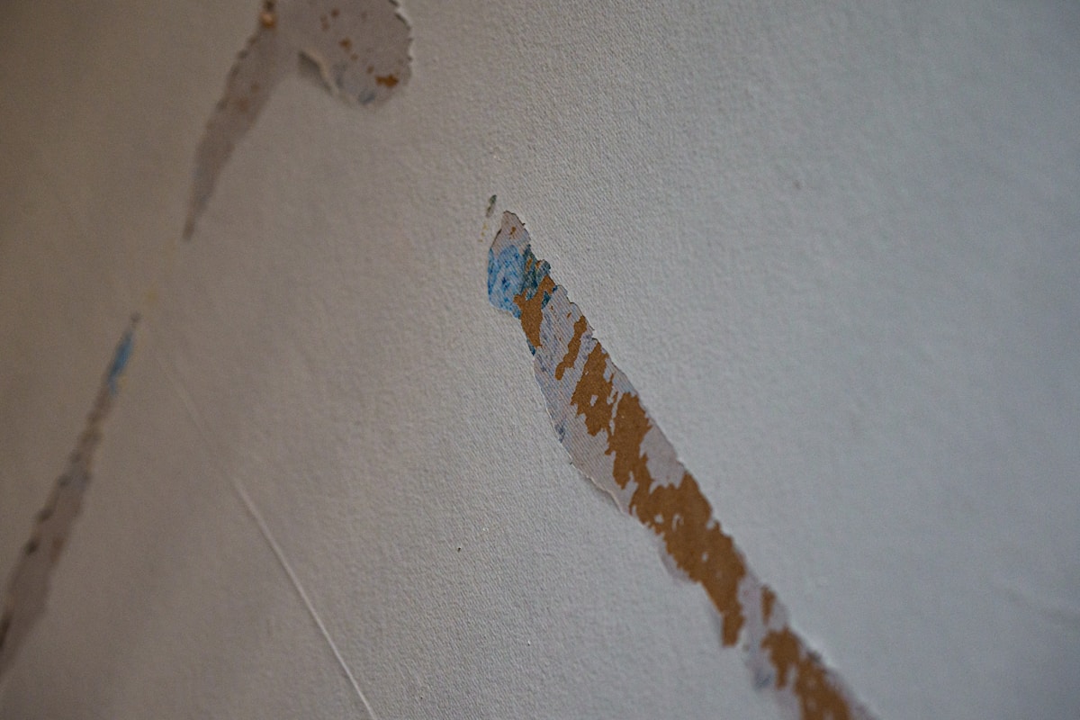 Flood Cleanup service in Kendale Lakes, FL